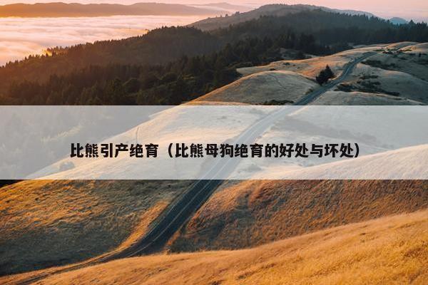 比熊引产绝育（比熊母狗绝育的好处与坏处）
