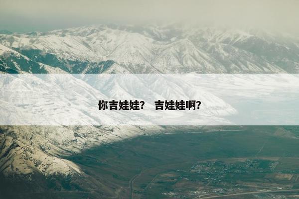 你吉娃娃？ 吉娃娃啊？
