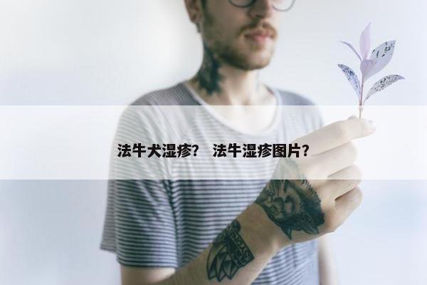 法牛犬湿疹？ 法牛湿疹图片？