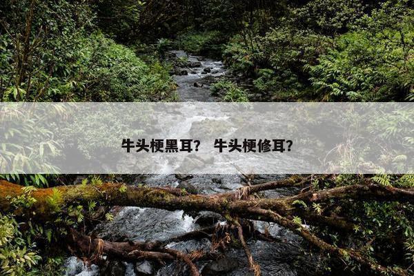 牛头梗黑耳？ 牛头梗修耳？