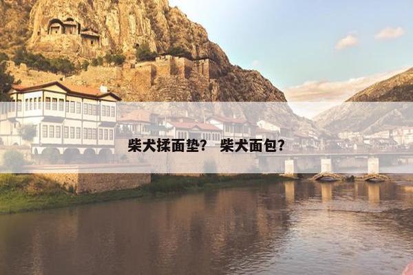 柴犬揉面垫？ 柴犬面包？