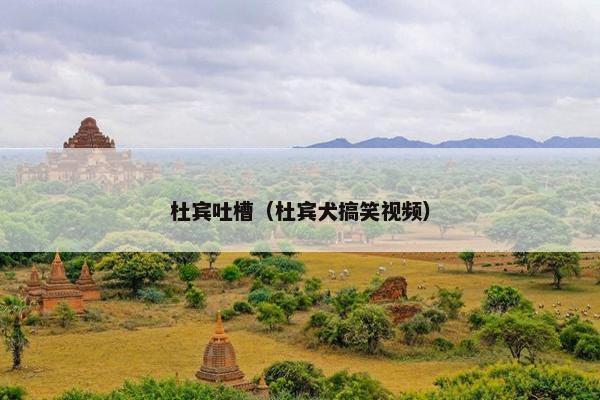 杜宾吐槽（杜宾犬搞笑视频）