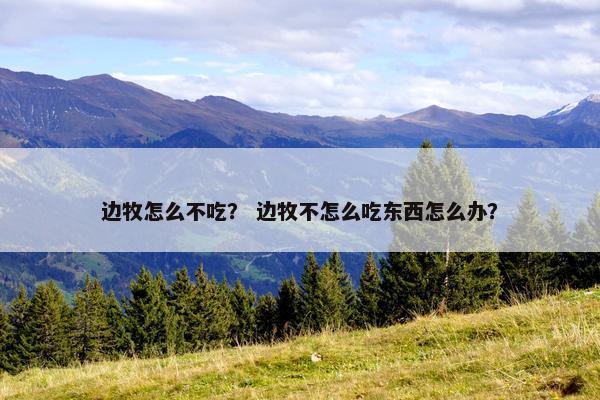边牧怎么不吃？ 边牧不怎么吃东西怎么办？