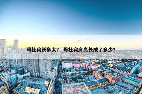 母杜宾长多大？ 母杜宾肩高长成了多少？