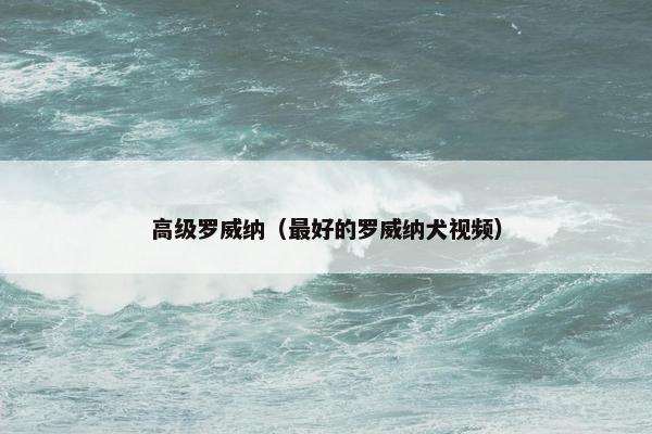 高级罗威纳（最好的罗威纳犬视频）