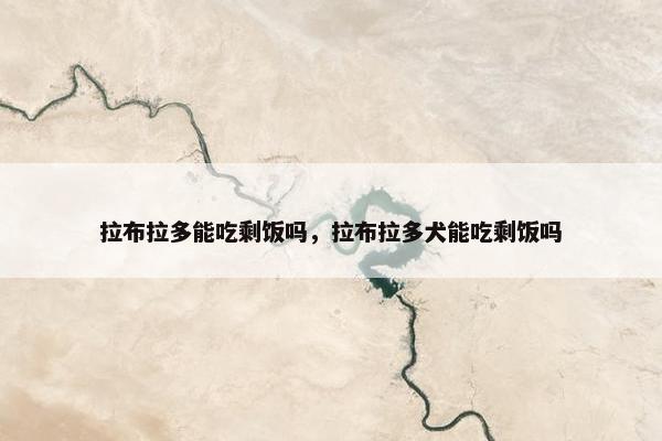 拉布拉多能吃剩饭吗，拉布拉多犬能吃剩饭吗