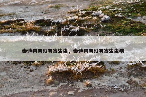 泰迪狗有没有寄生虫，泰迪狗有没有寄生虫病