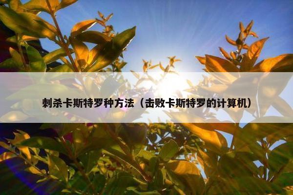 刺杀卡斯特罗种方法（击败卡斯特罗的计算机）