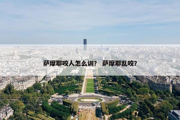 萨摩耶咬人怎么训？ 萨摩耶乱咬？