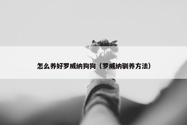 怎么养好罗威纳狗狗（罗威纳驯养方法）