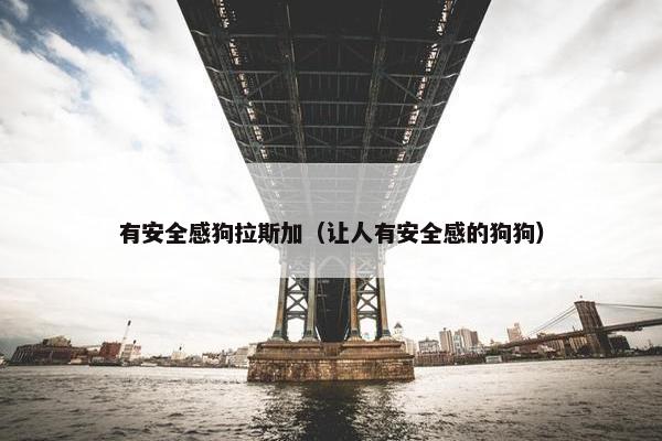 有安全感狗拉斯加（让人有安全感的狗狗）