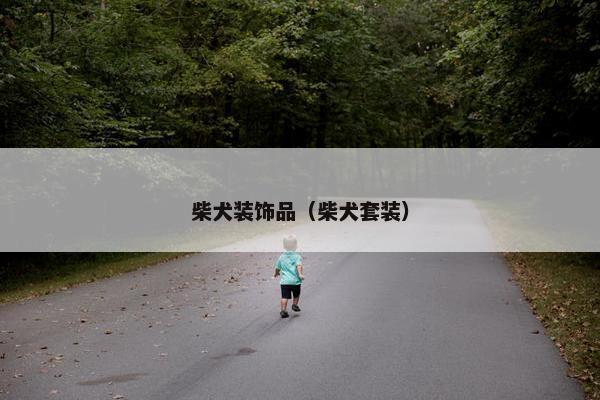柴犬装饰品（柴犬套装）
