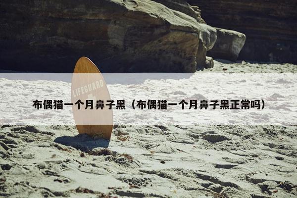 布偶猫一个月鼻子黑（布偶猫一个月鼻子黑正常吗）