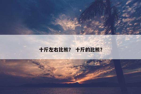 十斤左右比熊？ 十斤的比熊？
