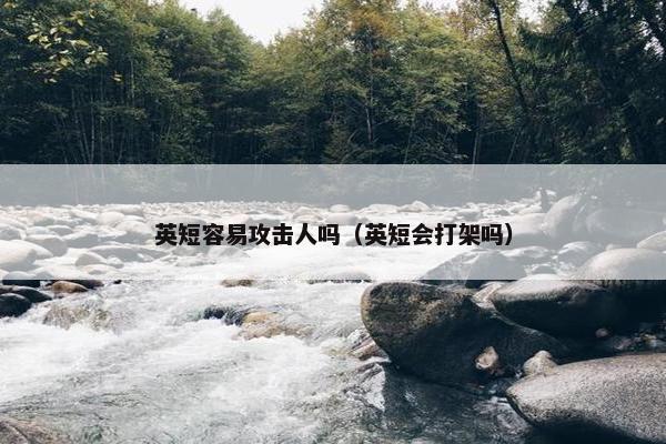 英短容易攻击人吗（英短会打架吗）