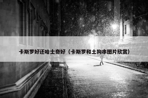 卡斯罗好还哈士奇好（卡斯罗和土狗串图片欣赏）