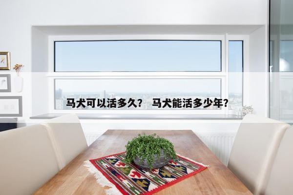 马犬可以活多久？ 马犬能活多少年？