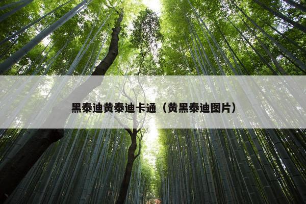 黑泰迪黄泰迪卡通（黄黑泰迪图片）