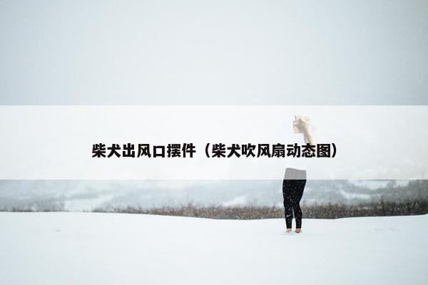 柴犬出风口摆件（柴犬吹风扇动态图）