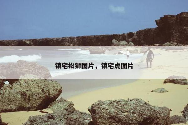 镇宅松狮图片，镇宅虎图片