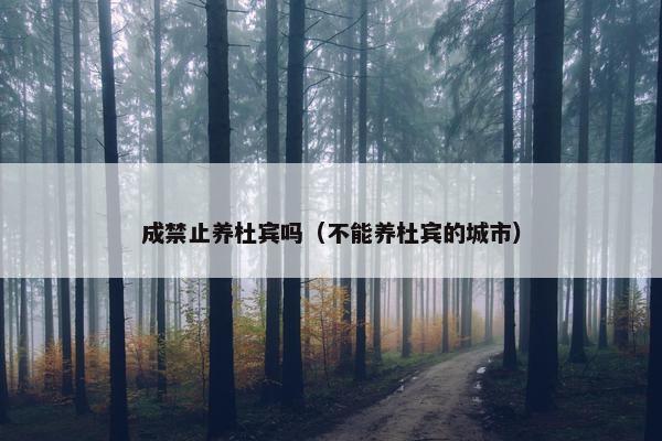 成禁止养杜宾吗（不能养杜宾的城市）