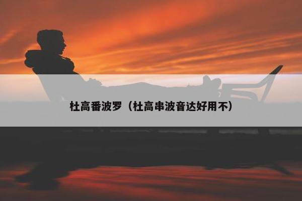 杜高番波罗（杜高串波音达好用不）