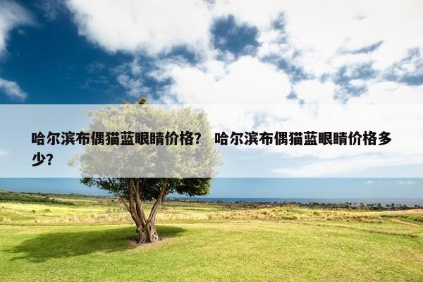 哈尔滨布偶猫蓝眼睛价格？ 哈尔滨布偶猫蓝眼睛价格多少？