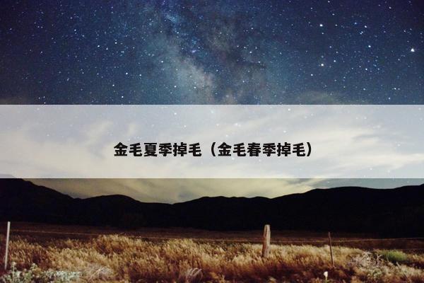 金毛夏季掉毛（金毛春季掉毛）