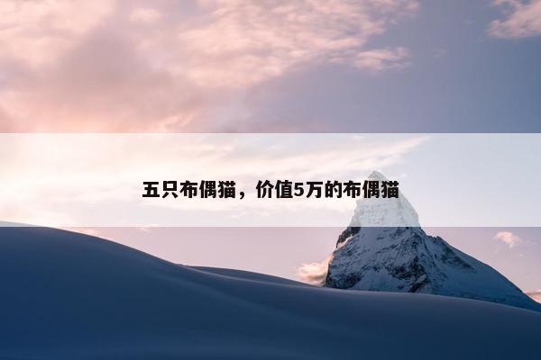 五只布偶猫，价值5万的布偶猫
