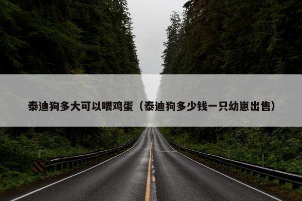 泰迪狗多大可以喂鸡蛋（泰迪狗多少钱一只幼崽出售）