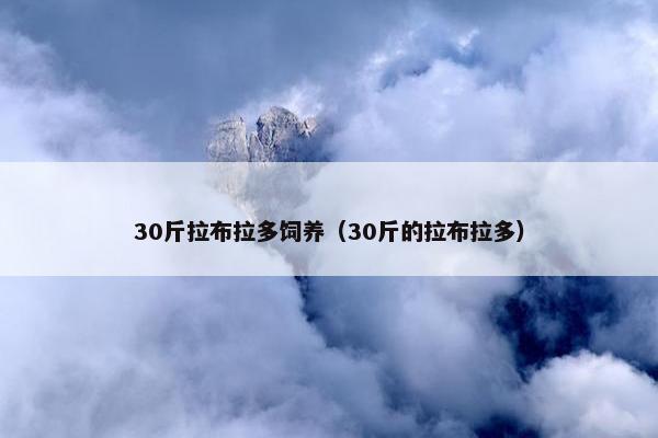 30斤拉布拉多饲养（30斤的拉布拉多）