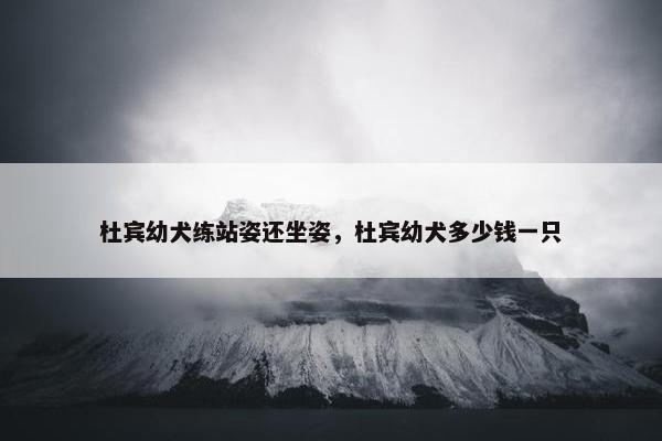 杜宾幼犬练站姿还坐姿，杜宾幼犬多少钱一只
