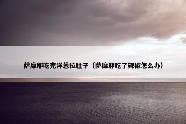萨摩耶吃完洋葱拉肚子（萨摩耶吃了辣椒怎么办）