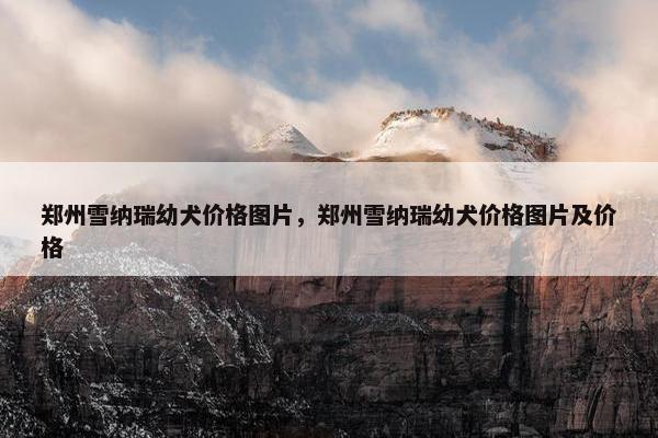 郑州雪纳瑞幼犬价格图片，郑州雪纳瑞幼犬价格图片及价格