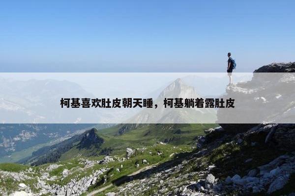 柯基喜欢肚皮朝天睡，柯基躺着露肚皮