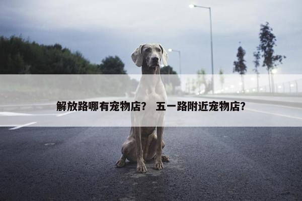 解放路哪有宠物店？ 五一路附近宠物店？