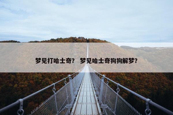 梦见打哈士奇？ 梦见哈士奇狗狗解梦？