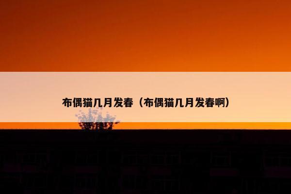 布偶猫几月发春（布偶猫几月发春啊）