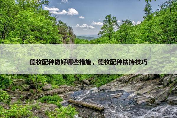 德牧配种做好哪些措施，德牧配种扶持技巧