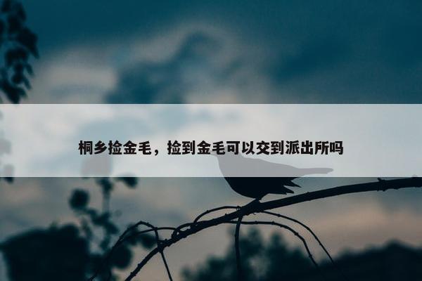 桐乡捡金毛，捡到金毛可以交到派出所吗