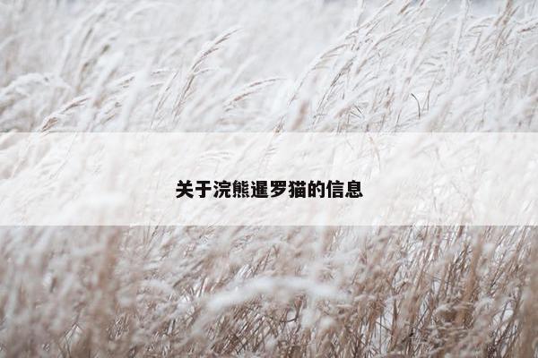 关于浣熊暹罗猫的信息