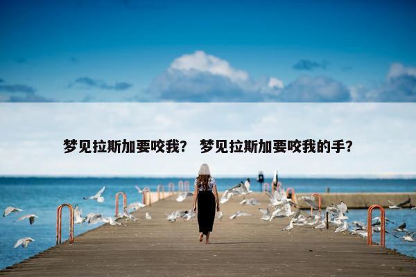 梦见拉斯加要咬我？ 梦见拉斯加要咬我的手？