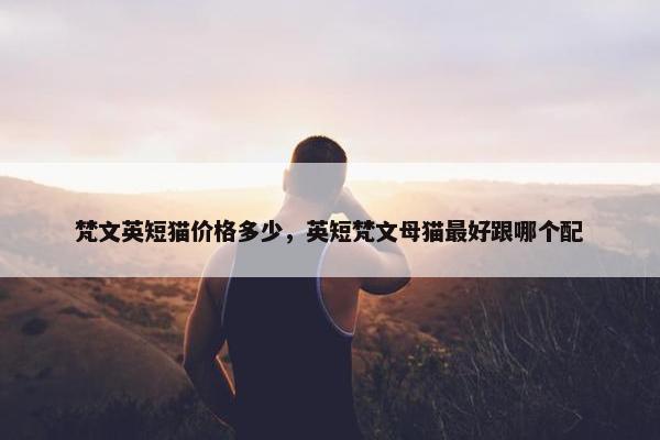梵文英短猫价格多少，英短梵文母猫最好跟哪个配