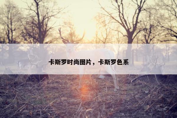 卡斯罗时尚图片，卡斯罗色系