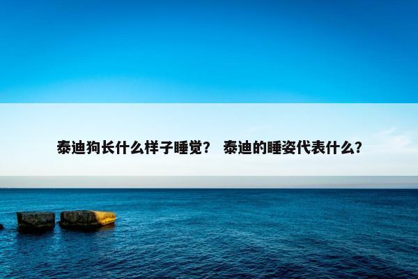 泰迪狗长什么样子睡觉？ 泰迪的睡姿代表什么？