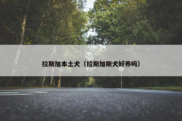 拉斯加本土犬（拉斯加斯犬好养吗）