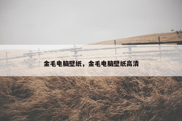 金毛电脑壁纸，金毛电脑壁纸高清