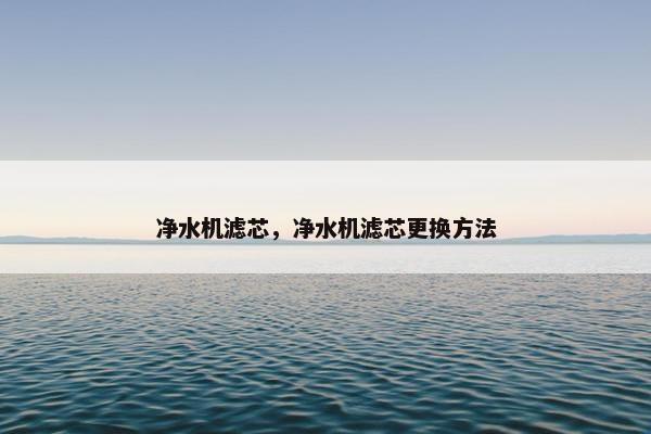 净水机滤芯，净水机滤芯更换方法
