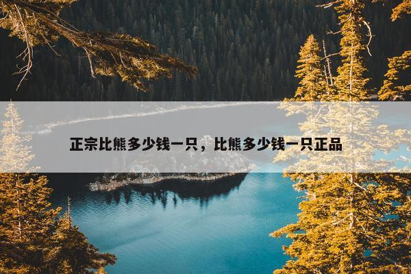 正宗比熊多少钱一只，比熊多少钱一只正品