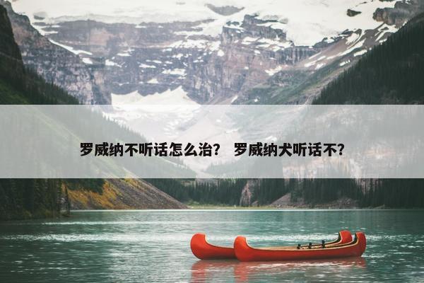 罗威纳不听话怎么治？ 罗威纳犬听话不？